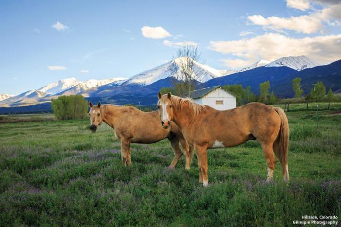 Western Fremont County