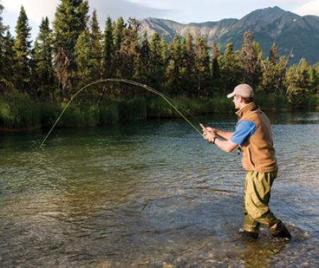 Colorado Gold Medal Fishing