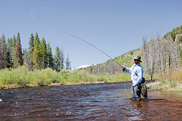 Fly Fishing in Colorado