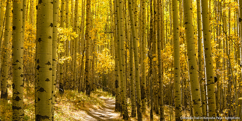 leaf peeping Kenosha Pass