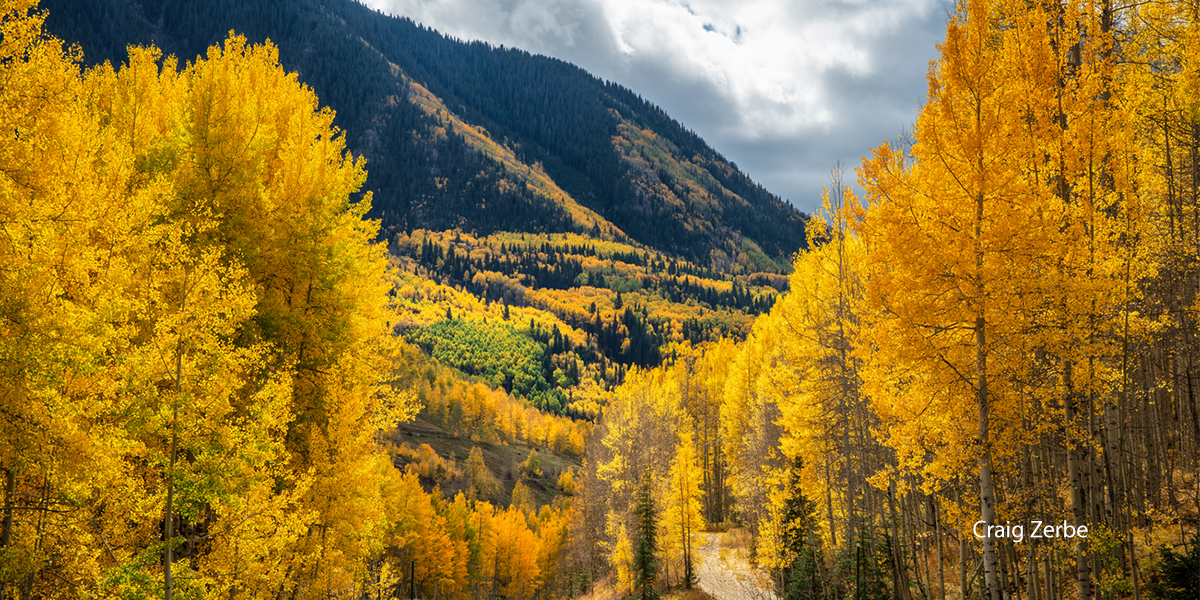 Fall Leaf Peeping