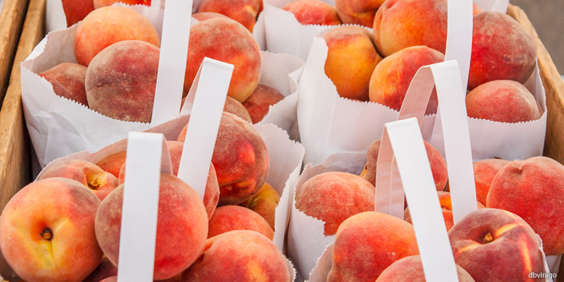 colorado farmers market