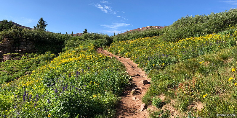 summer hiking colorado