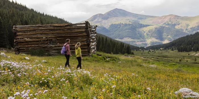 Mayflower Gulch