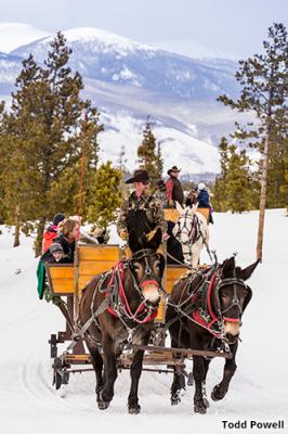 Two Below Zero Dinner Sleigh Ride