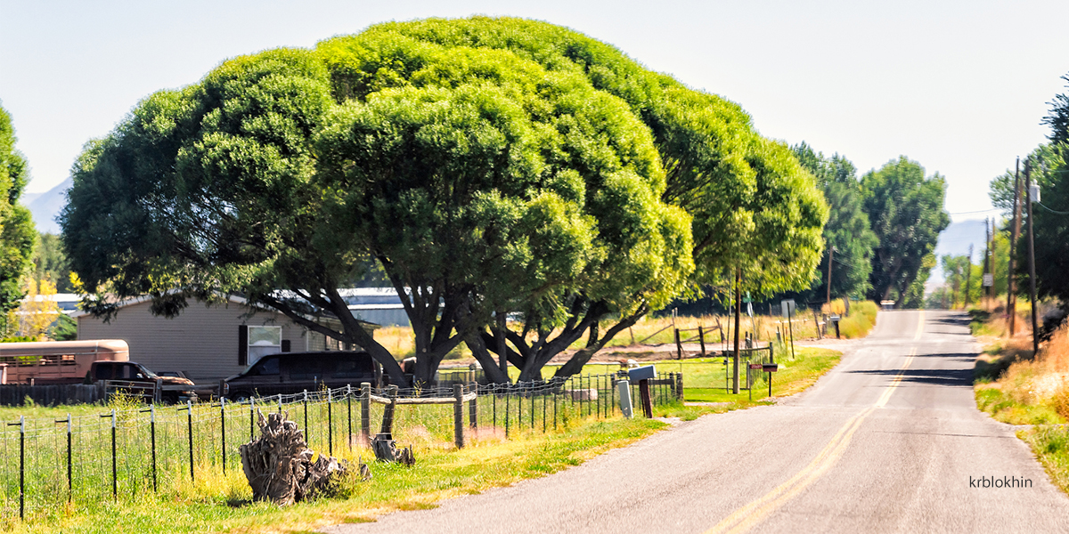 affordable Colorado country lane