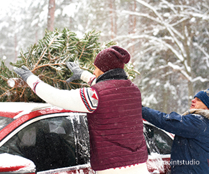 christmas tree top of car