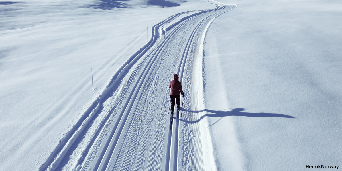 Cross Country Skiing