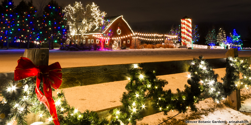 Thanksgiving at Denver Botanic Gardens