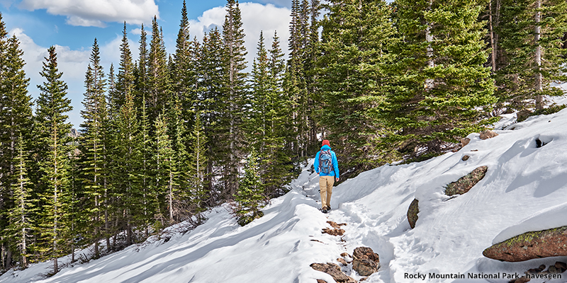 Thanksgiving Snow Hike