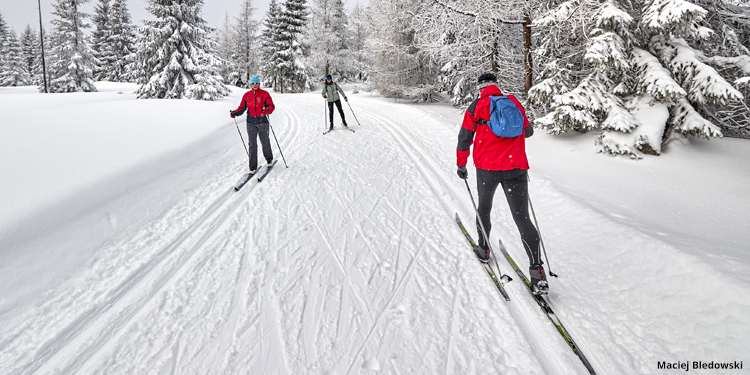 Cross-Country Ski area