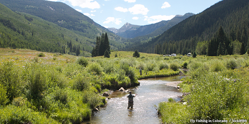 Gold medal fishing - Fly Fishing in Colorado