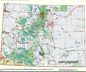 national forest in Colorado