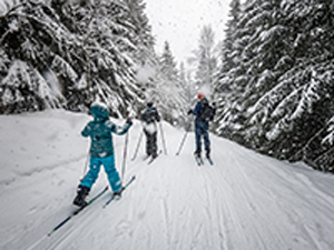 group cross-country skiing