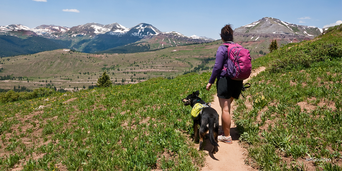 dog friendly hike