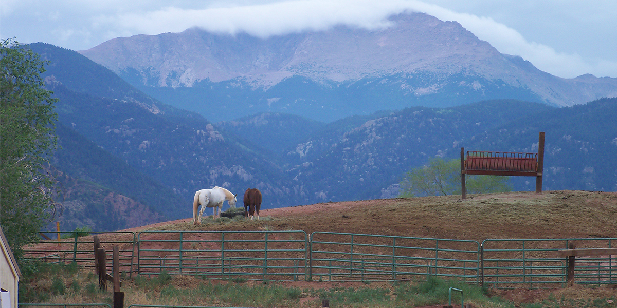 mountain town guest ranch