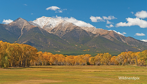 meadow view Fairplay Colorado