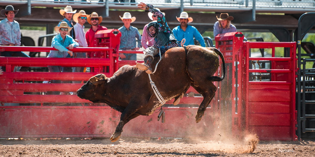 Colorado rodeos