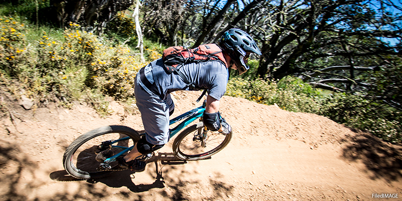 colorado summer vacation - mountain bike park