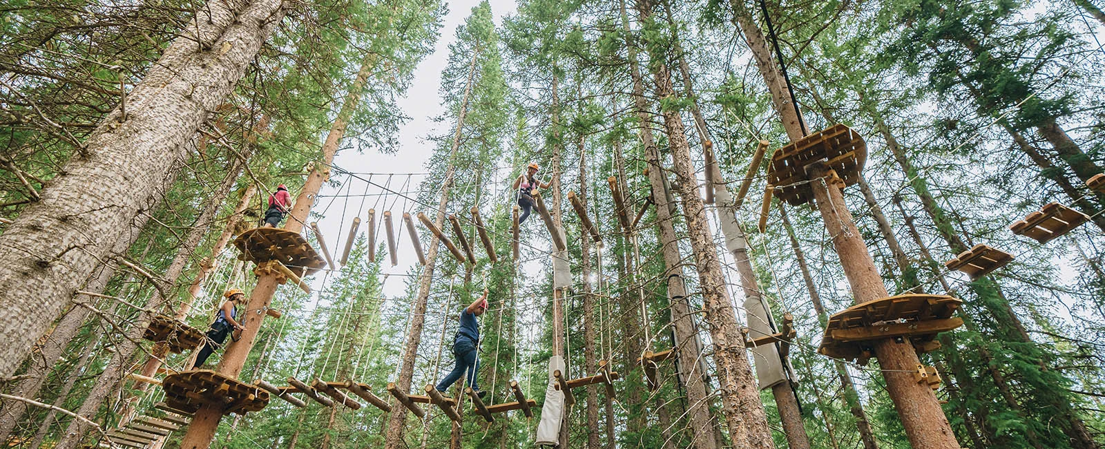 snowmass village lost forest