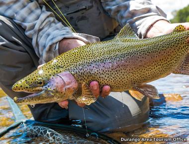 Fishing in Durango