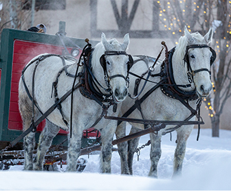 sleigh ride