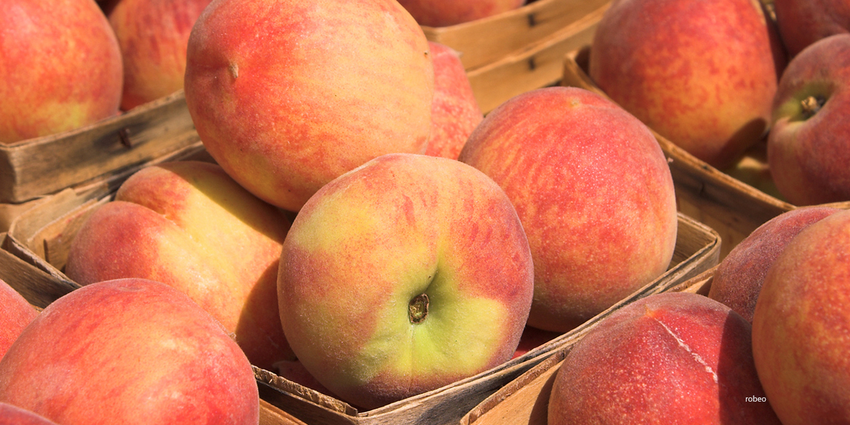 colorado food peaches