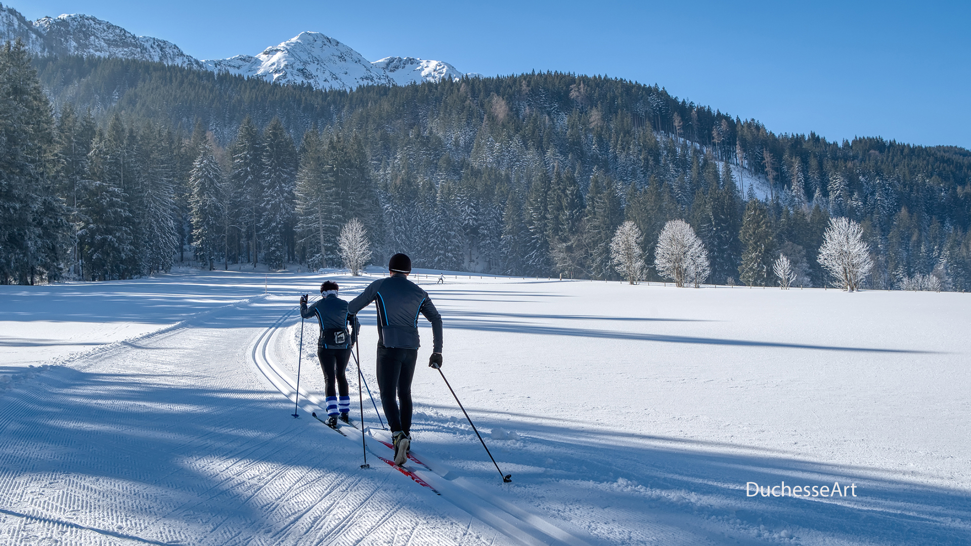 Colorado nordic touring