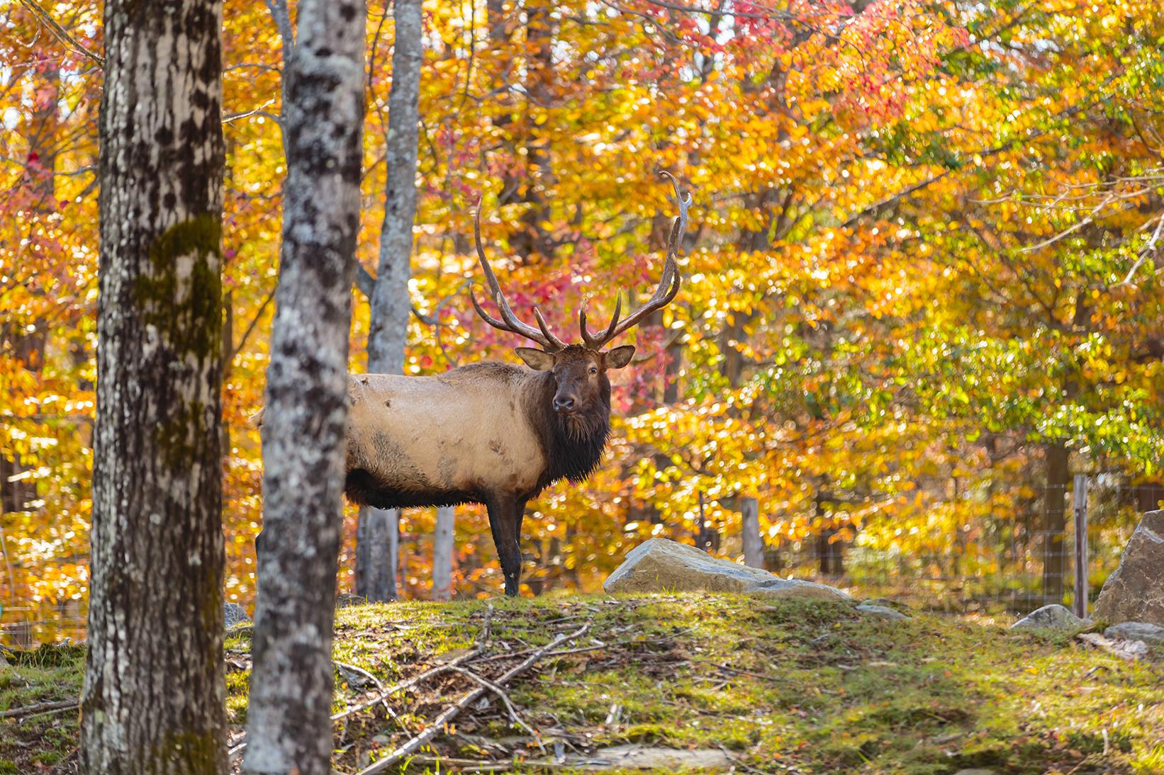 fall colorado vacation ColoradoInfo