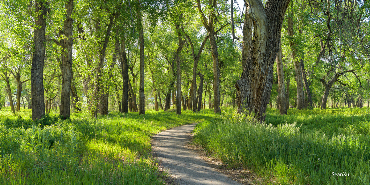 Chatfield State Park