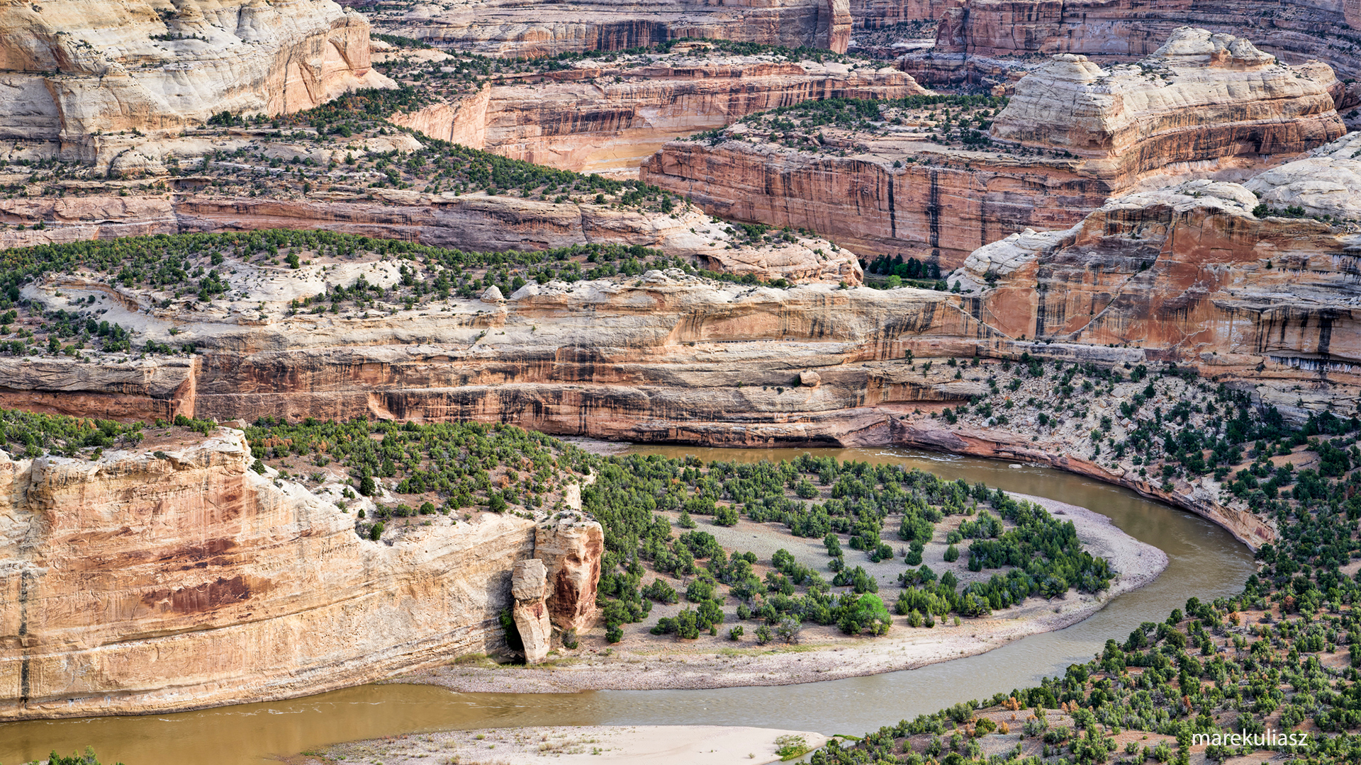 yampa river park dinasour