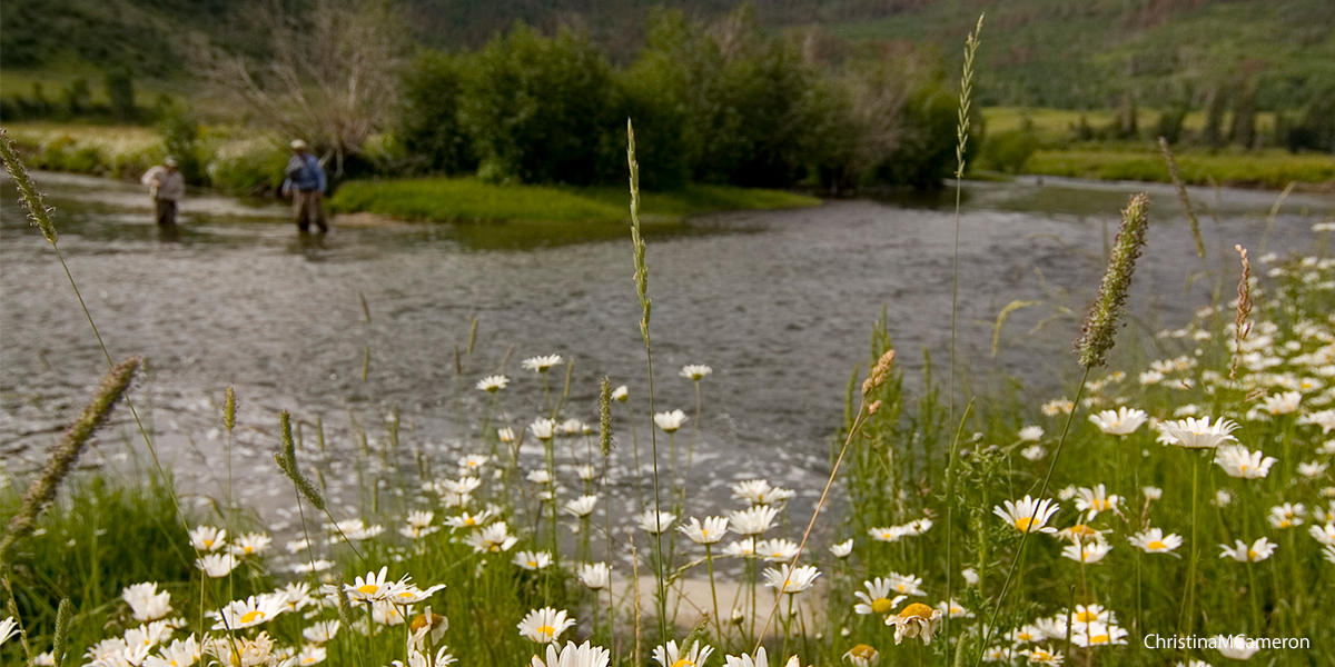 fly-fishing-south-park