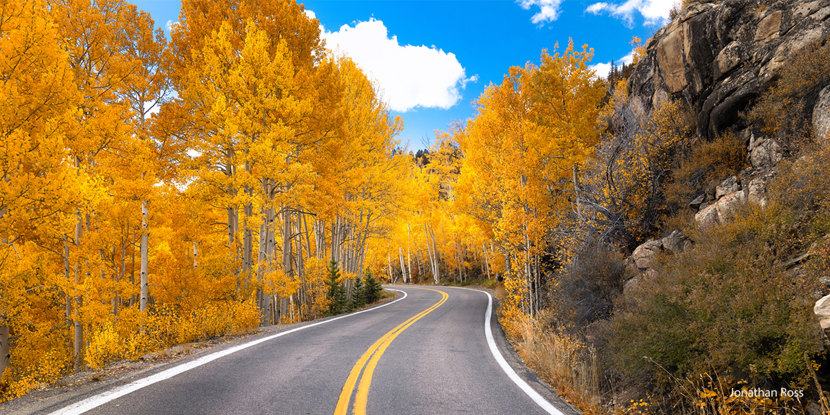 leaf-peeping-drives