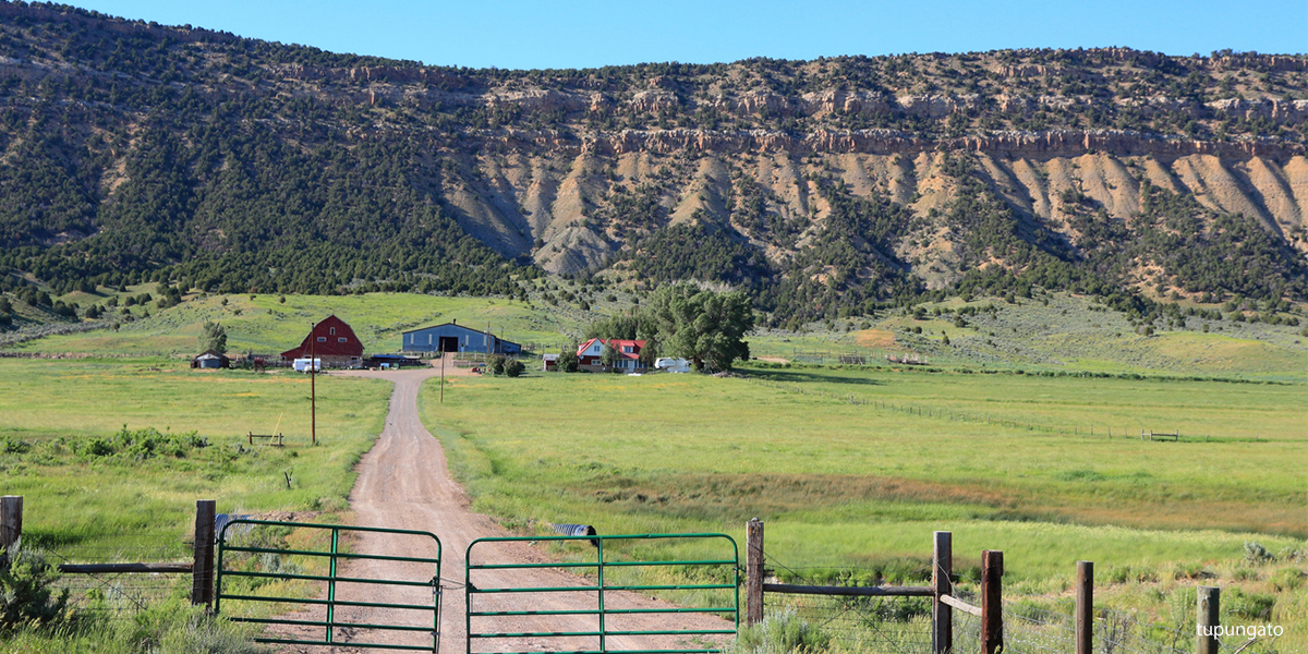 Mesa Verde Produce