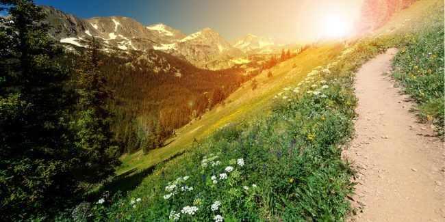 Springtime in Colorado