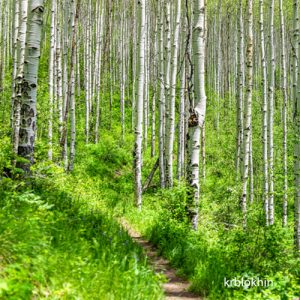 hike beavaer creek